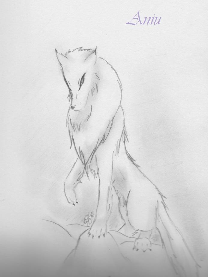 Aniu