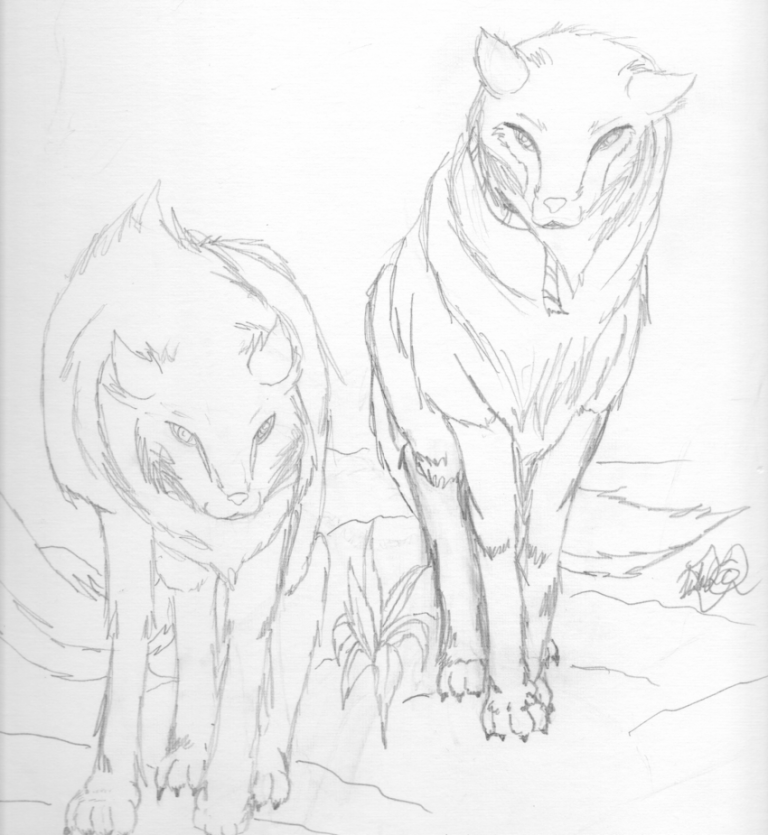Two wolves