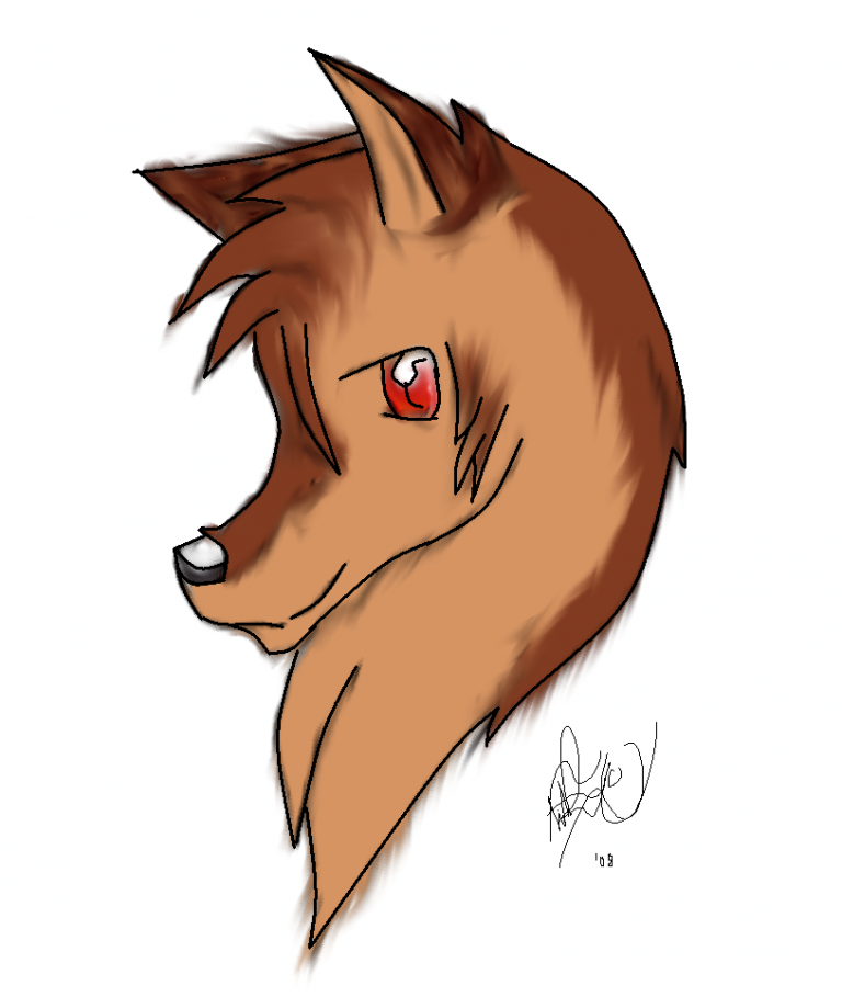 Random dog