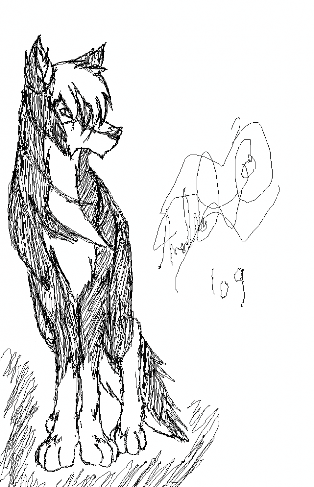 Killy scetch