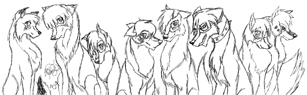 My friends (sketch)
