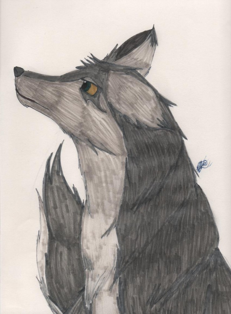 Random wolf