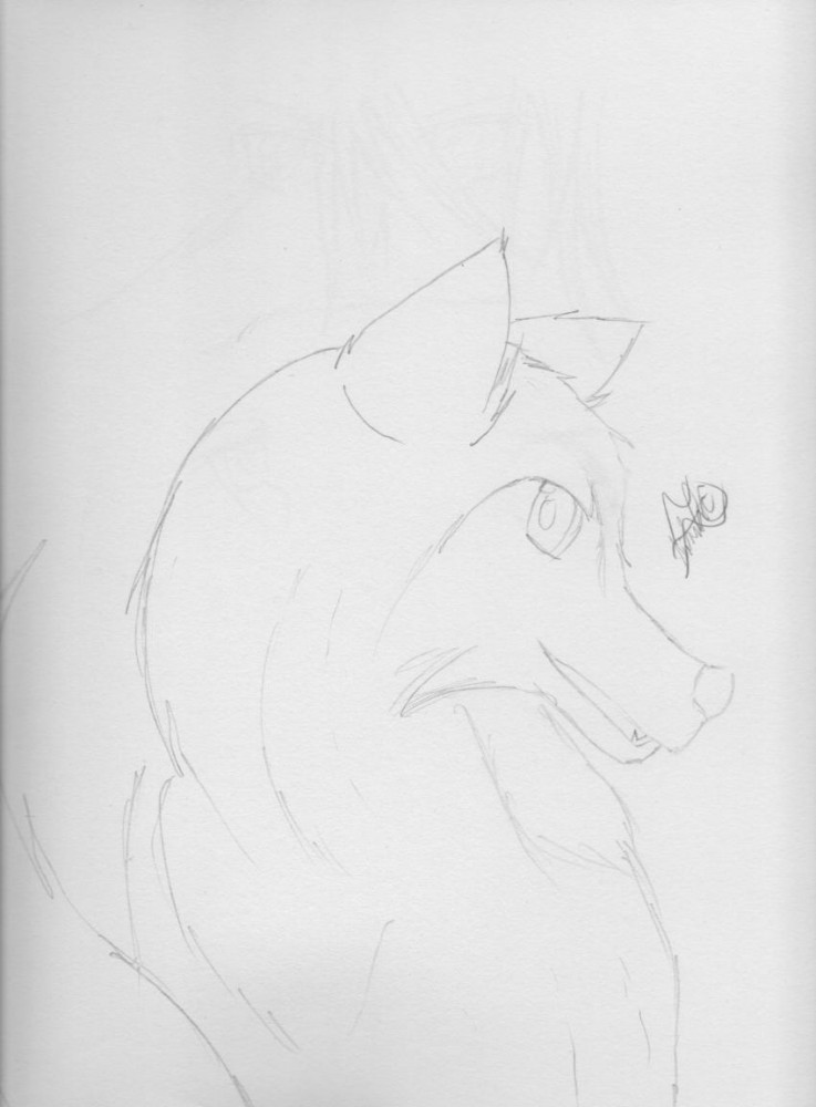 Draft