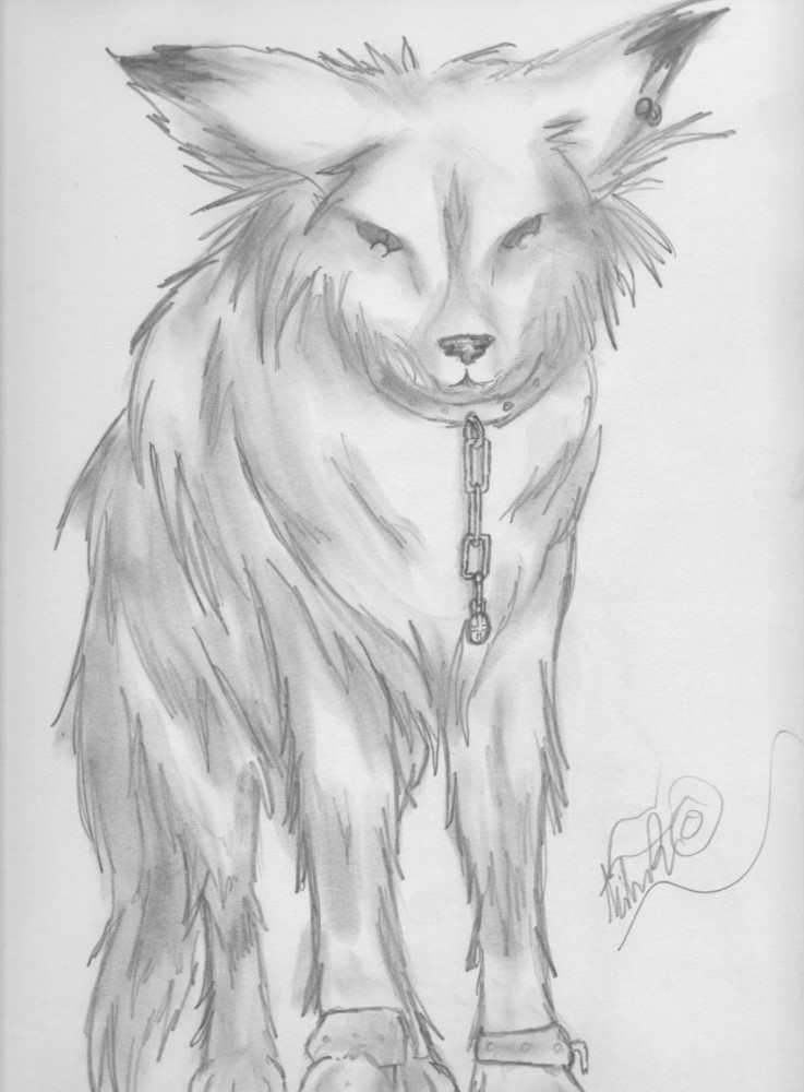 Spirit wolf?