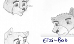 Eilzi-Bob