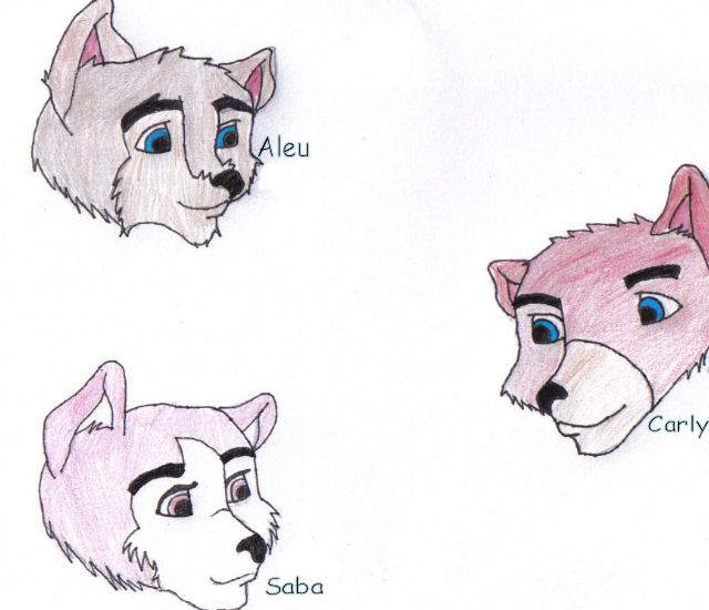 Balto and Jenna's female pups