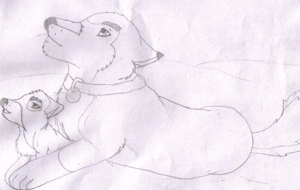 Balto and his father.