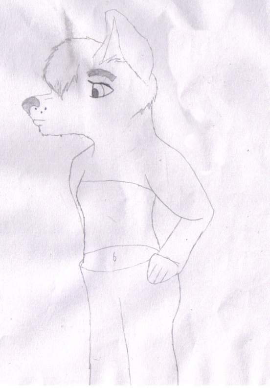 Older style anthro