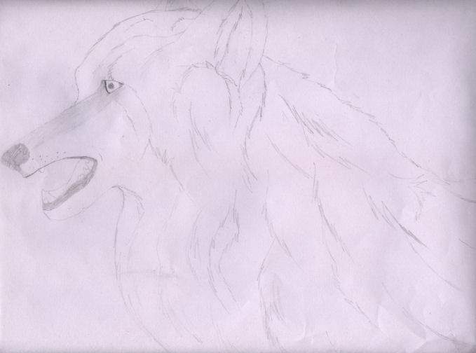 Realistic Wolf