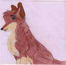 Kiska for Aleu_Wolfdog