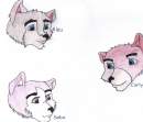 Balto and Jenna's female pups