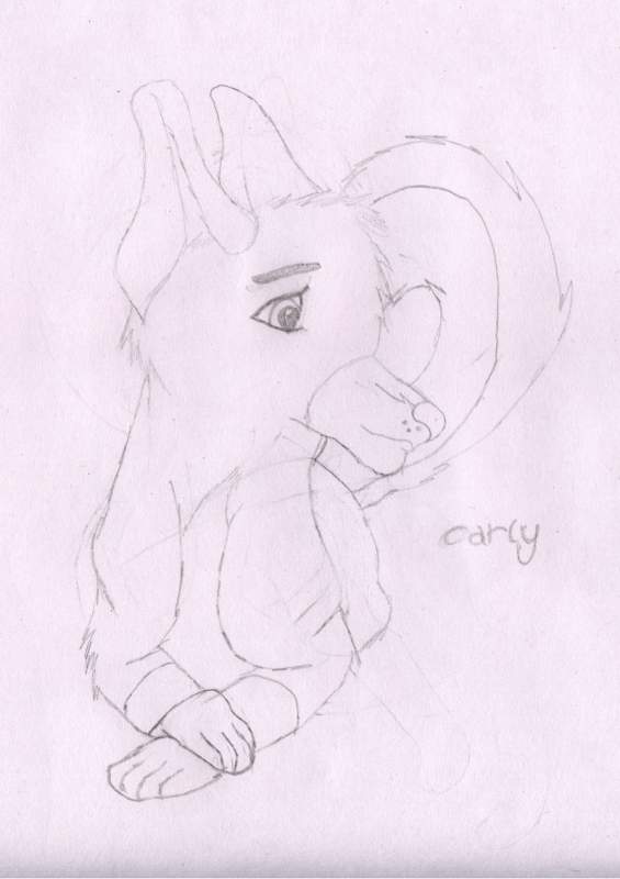 Carly 