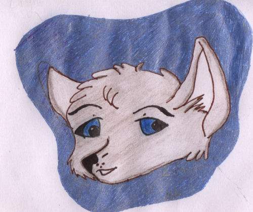 Different style wolf