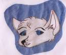 Different style wolf