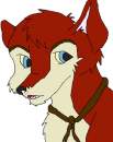 Dingo-ness