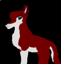 Dingo drawing coloured