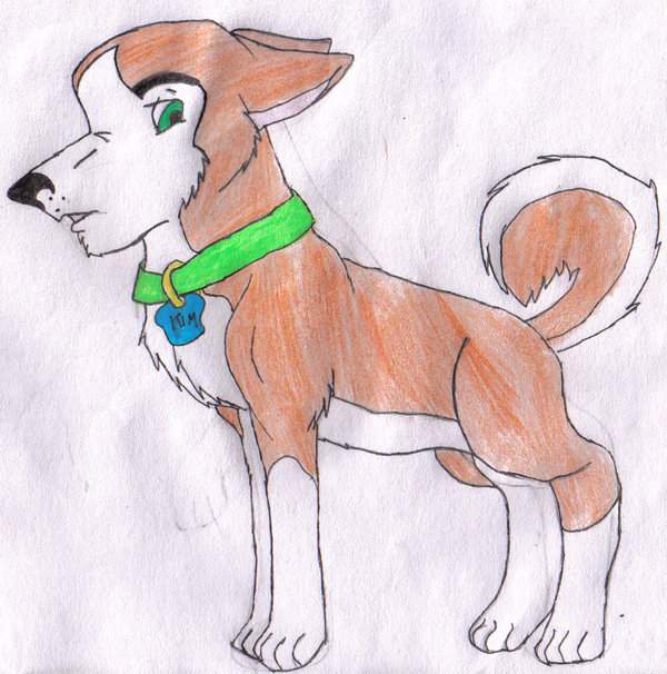 Kim Possible as a husky.