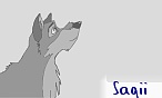 Sagii