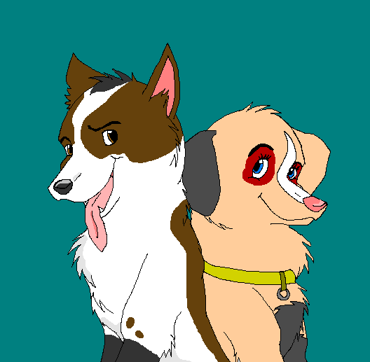 Colton And Saiya 