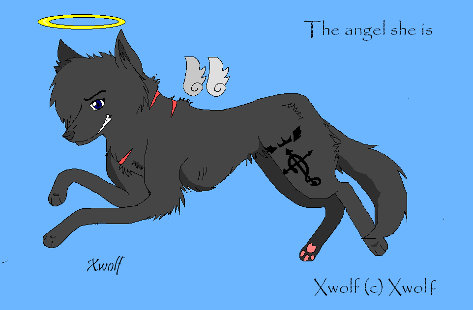 Xwolf~