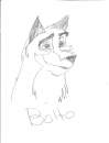 1 pic of Balto