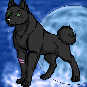 ~Ashur~