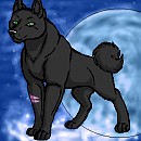 ~Ashur~