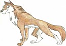 Miyax of the snow spirits kiche