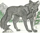 Amaroq, snow spirit and spirit Guide