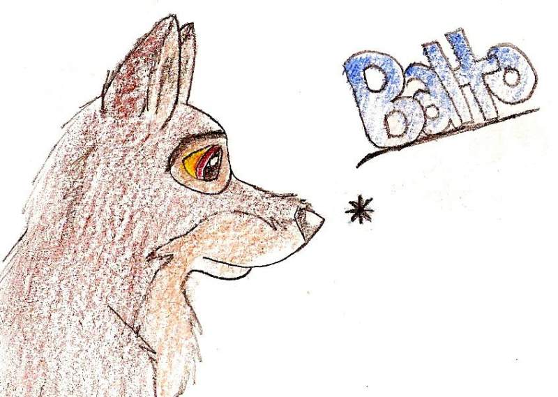BALTO!!!
