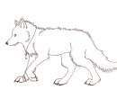 Ayame