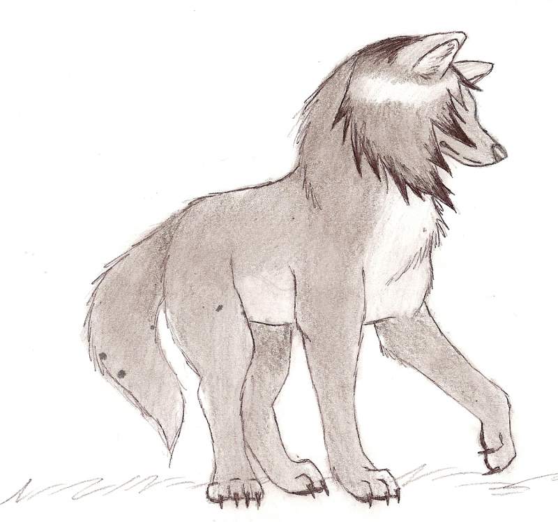 Trade for Teh Tani Cat