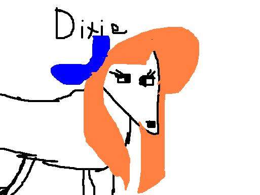 Dixie