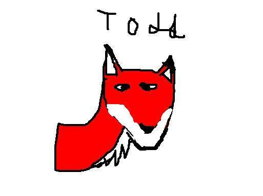 Todd