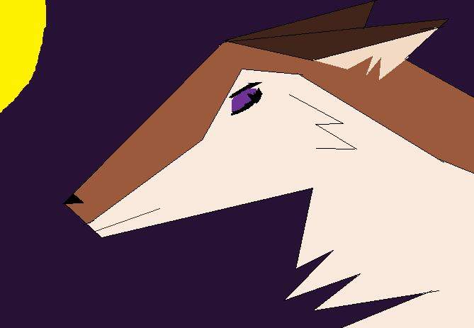Aleu Had Surgery
