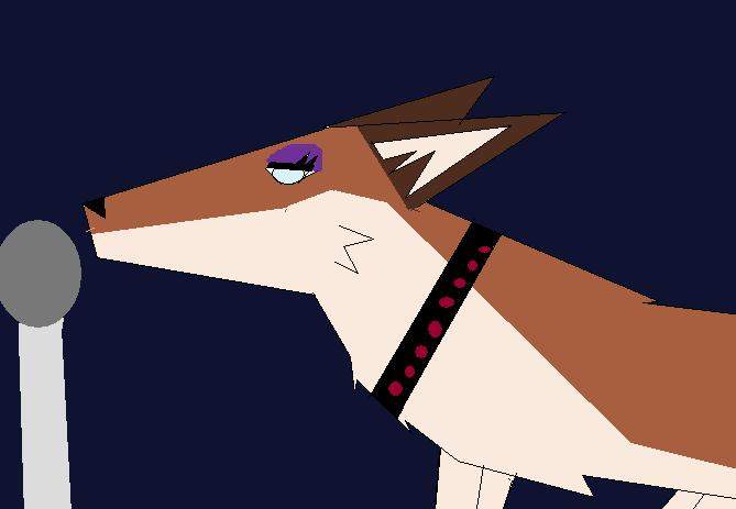 Aleu The Singer