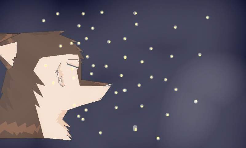  Fire Flies