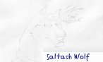Saltashwolf
