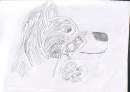 save the wolf