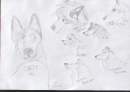 characters
