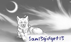 sam13gidget13