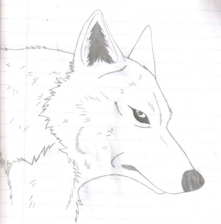 Balto's mom :3