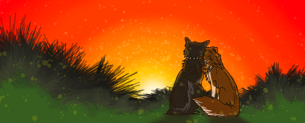 sunset lovers