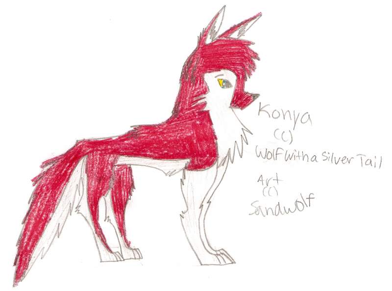 Konya