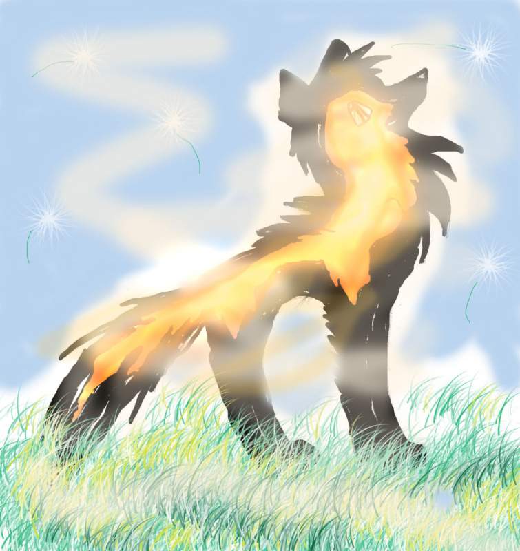 Shadowback as a puppy