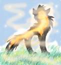 Shadowback as a puppy