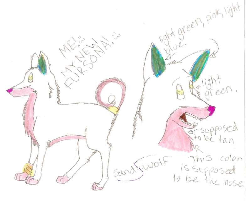New Fursona