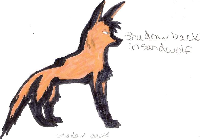 SHADOW BACK!!!O.O