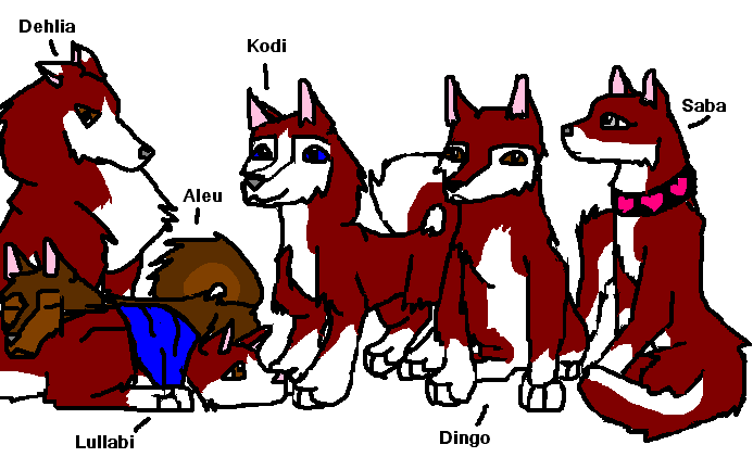Meet the Family
