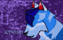 IcyWind